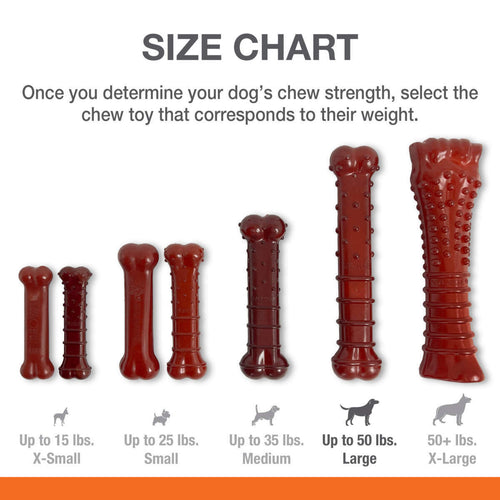 Nylabone Power Chew Basted Blast Dual Flavored Dog Chew Toys