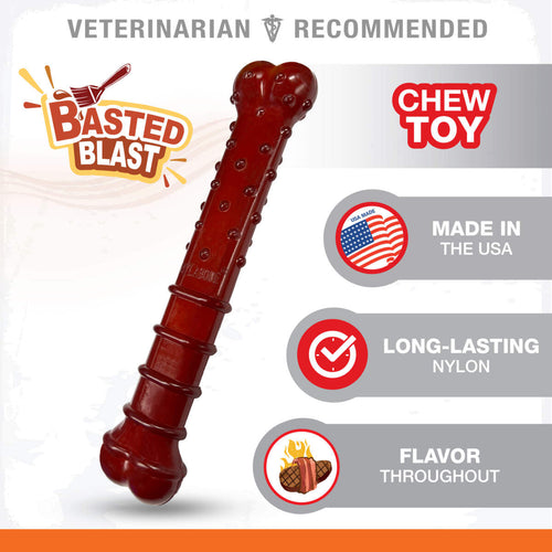 Nylabone Power Chew Basted Blast Dual Flavored Dog Chew Toys