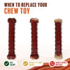 Nylabone Power Chew Basted Blast Dual Flavored Dog Chew Toys