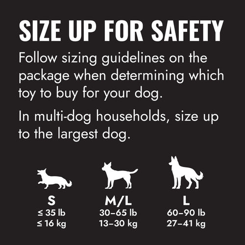 KONG Extreme Ball Dog Toy
