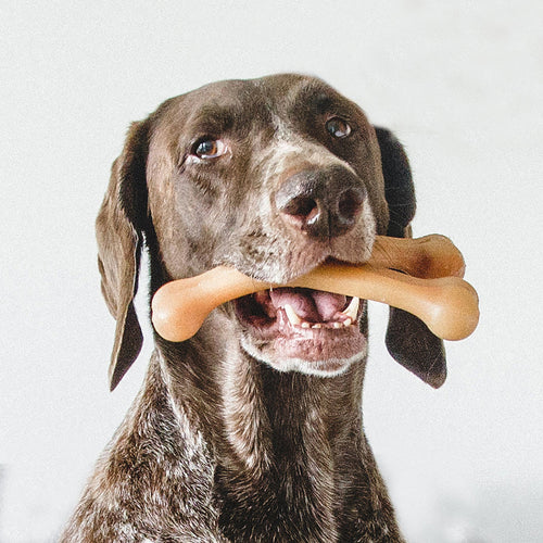 Benebone Chicken Wishbone