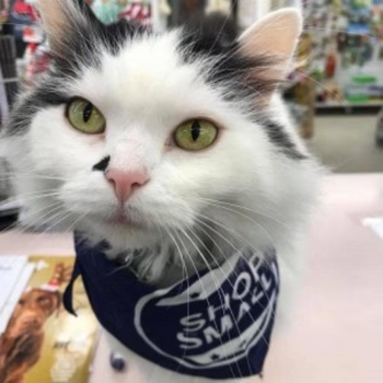 Former Store Mascot