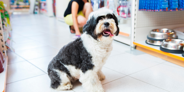 Delhi Pet Center