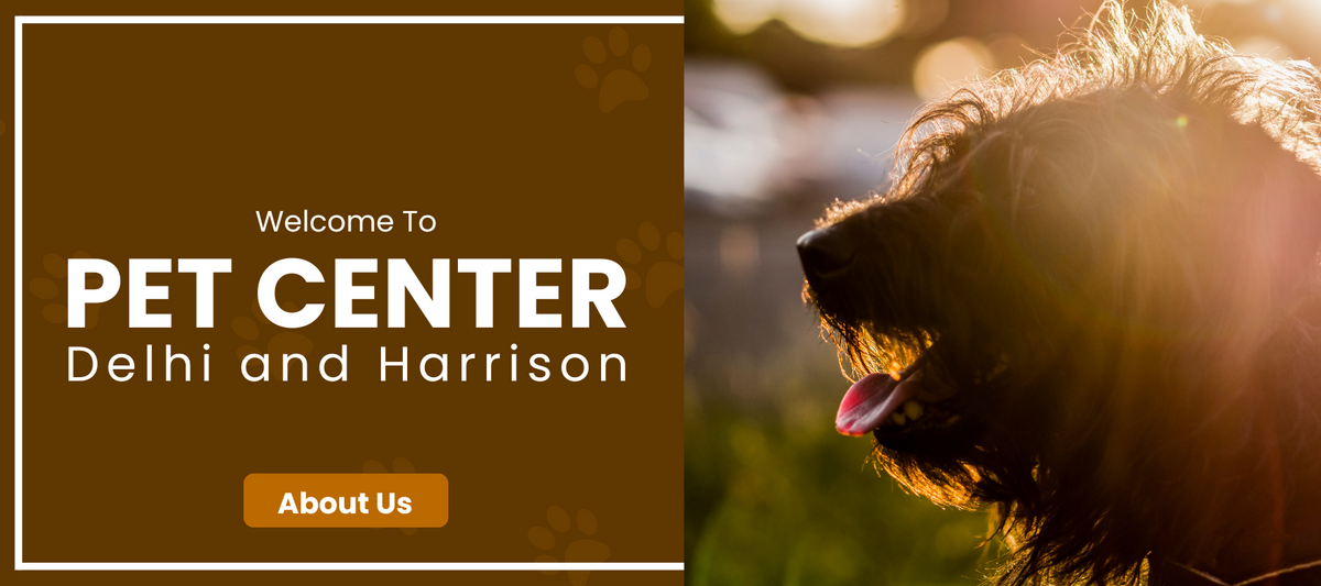 Delhi Pet Center