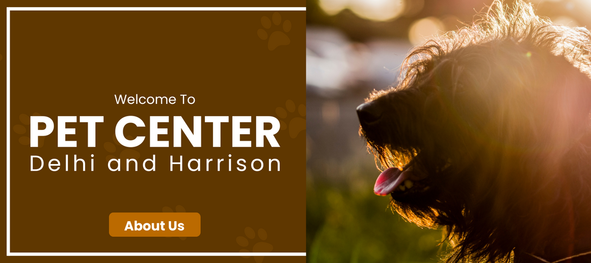 Delhi Pet Center