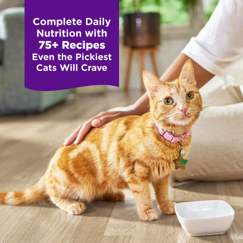 Wellness Complete Health Grilled Tuna, Mackerel, and Shrimp Wet Cat Food Recipe
