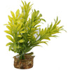 COLOR BURST FLORALS LAUREL LEAF