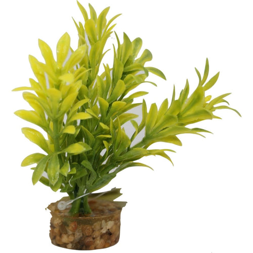 COLOR BURST FLORALS LAUREL LEAF