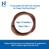 N-Bone® Puppy Teething Rings Pumpkin Flavor