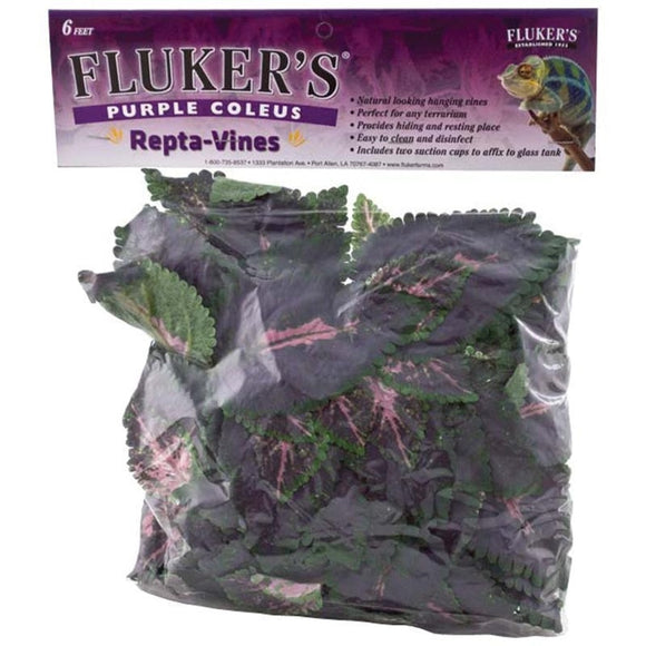 Fluker's Purple Coleus Repta-Vines (6 FOOT)