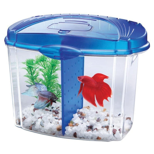 AQUEON BETTA BOWL KIT WITH DIVIDER